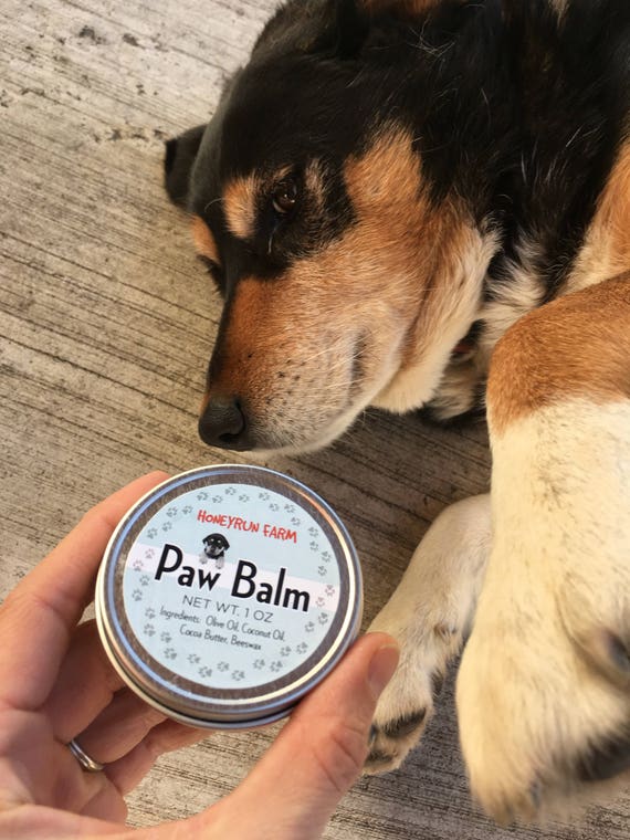 Paw Balm Made With Beeswax Olive Oil Coconut Oil and Mango Butter 1 Oz. Etsy Canada