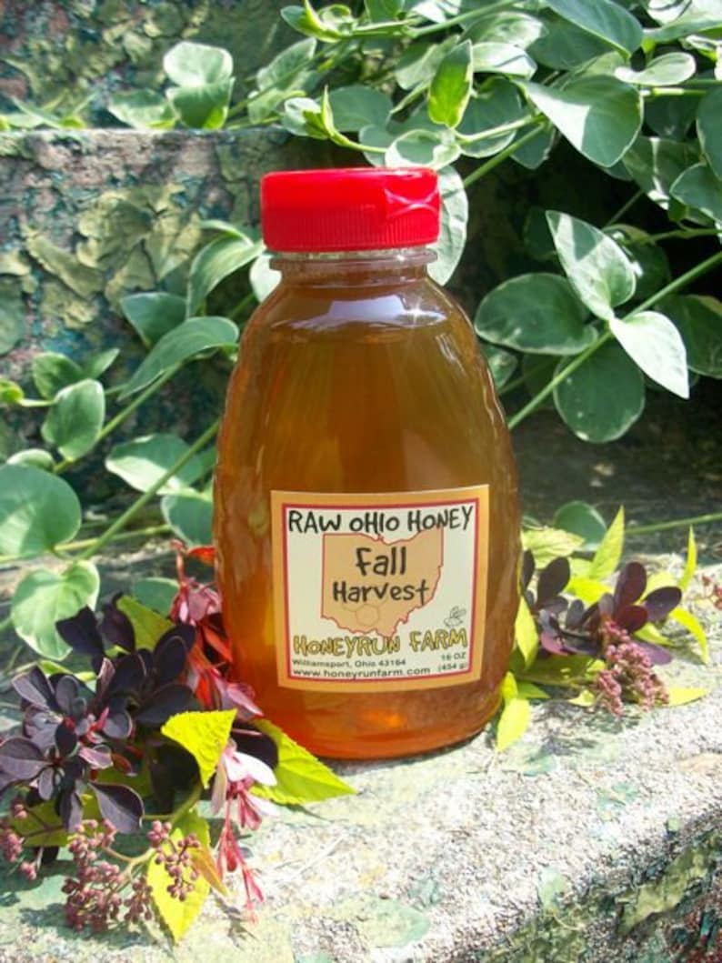 Pure Raw Ohio Fall Honey 8 ounce jar image 4
