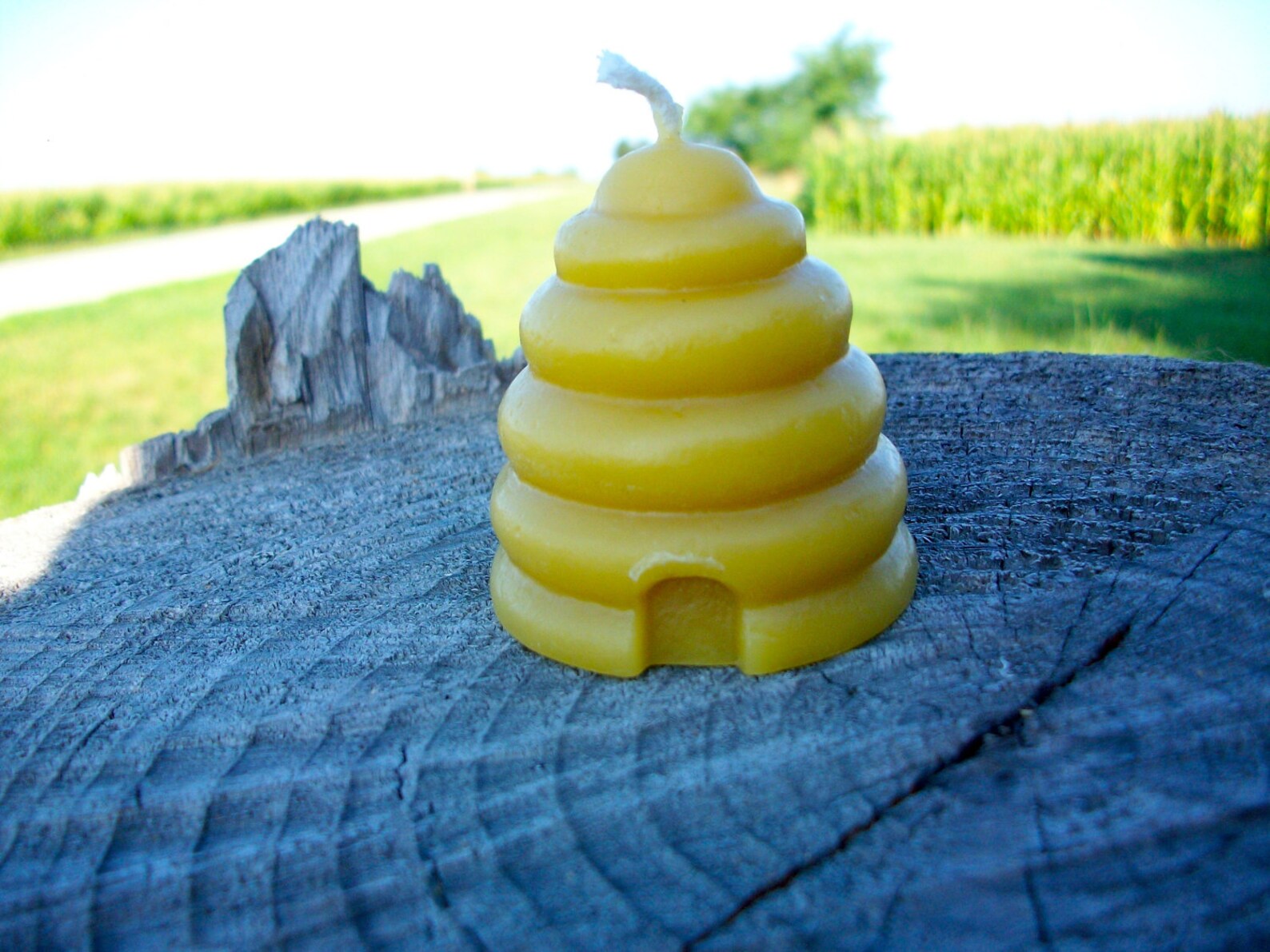 Hive Shaped Beeswax Candle 2 Tall Etsy