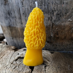 Beeswax Candle -Morel Mushroom Candle