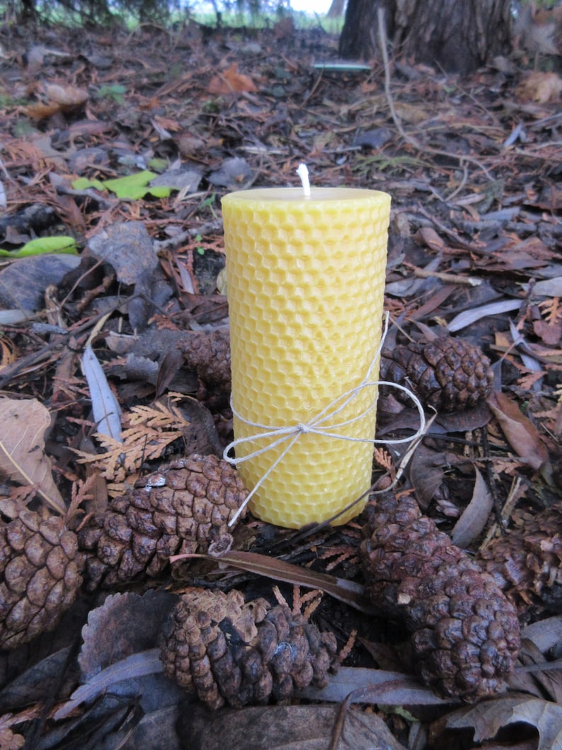 Hexagon Cylinder Beeswax Pillar Candle image 1