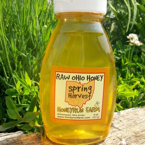 Pure Raw Spring Honey 32 ounce jar nectar from Black Locust, Honeysuckle, Autumn Olive image 5