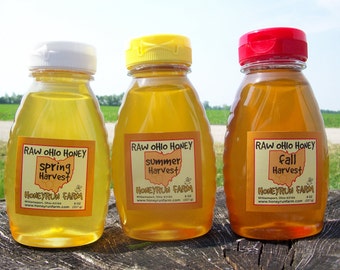 Raw Honey Sampler - Spring, Summer, and Fall Honey - Three 8 ounce bottles
