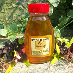 Raw Honey Sampler Spring, Summer, and Fall Honey Three 8 ounce bottles image 5