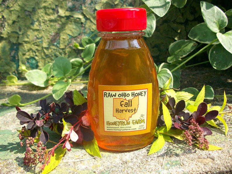 Raw Honey Sampler Spring, Summer, and Fall Honey Three 8 ounce bottles image 5