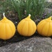 see more listings in the Beeswax Candles section