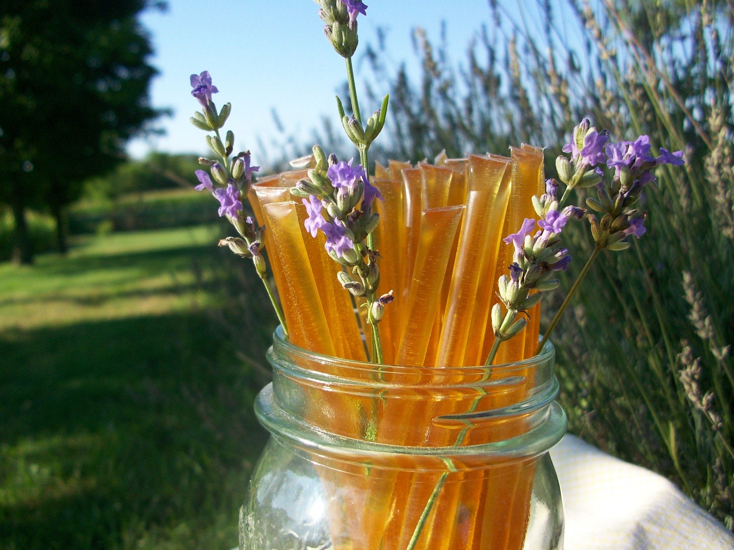 Lavender Infused Honey Sticks