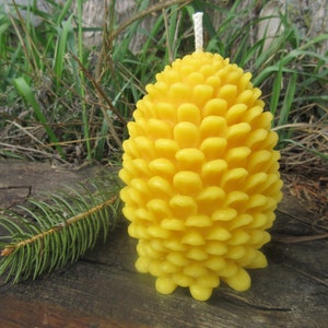 Pinecone Beeswax Candle- 3.5" wide by 4.75" tall