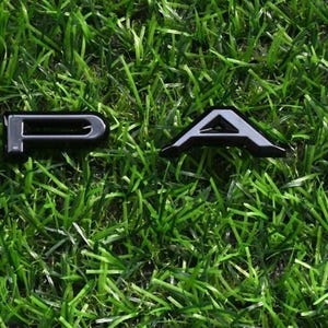 May include: The word "IMPALA" is spelled out in individual, glossy black and silver letters. The letters are arranged horizontally on a bed of vibrant green grass, creating a striking contrast.