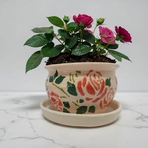 Maceta de cerámica hecha a mano con platillo – Maceta de gres pintada en rosa