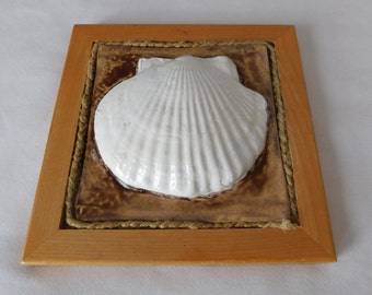 While Seashell Ceramic Tile