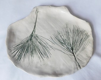 Maine Pine on a Ceramic Seashell Dish