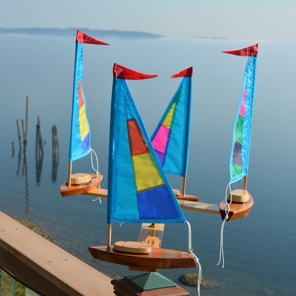 Nuevos barcos Blue Sunshine 2026