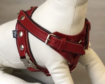 Gepolstertes Leder Y Front Hundegeschirr in 5 Farben Ideal für alle Größen
