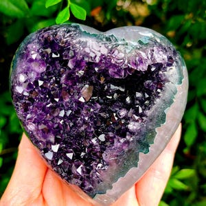 May include: A heart-shaped amethyst geode, showcasing a deep purple crystal interior. The geode is held in a hand, with a smooth, light gray exterior and a dark green edge. The background features lush green foliage.