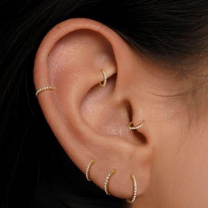 May include: An ear featuring several small, gold hoop earrings, each set with tiny, sparkling stones. The earrings are positioned in different piercings along the ear's cartilage and lobe, creating a layered effect. The gold hoops are a classic jewelry item.