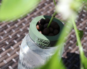 May include: A clear glass jar with a green lid labeled "Diving Roots" holds water and a plant stem. The lid has a circular opening filled with brown pebbles. The jar sits on a woven surface.