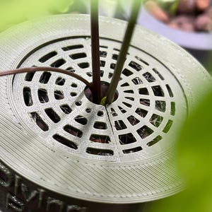 Diving Roots Lid Planter Inserts - Pair