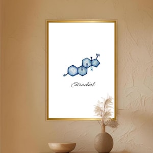 Könnte beinhalten: Ein gerahmter Druck mit einer blauen Aquarellillustration des Estradiol-Moleküls auf weißem Hintergrund. Der Druck befindet sich in einem goldenen Rahmen und wird auf einem weißen Schrank mit einer dekorativen Vase und einer Schale ausgestellt.