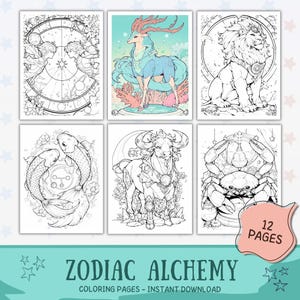Zodiac Alchemy Coloring Book | Horoscope Fantasy Astrology Pages | Adult Metal Zodiac Signs | Mystical Steampunk Line Art