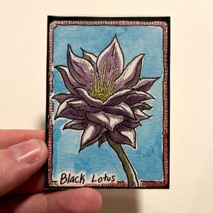 May include: A watercolor painting of a black lotus flower. The flower is purple and yellow with a green stem, set against a light blue background. The text "Black Lotus" is written below the flower. The artwork is framed with a pink and black border.