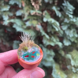 Kleiner Gartenteich im Tontopf mit Fischen 1:12,  Wichtel, Wichteltür, Wichtelhaus, Feengarten, Puppenhaus