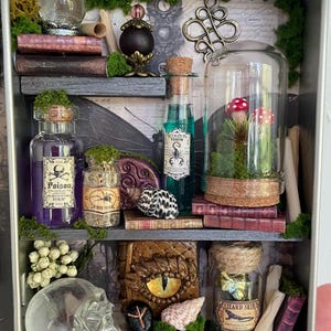 Könnte beinhalten: Ein Diorama in einer Metalldose mit Miniatur-Zaubertrankflaschen mit den Etiketten Poison, Scorpion Venom und Lizard Skin, einer Glasglocke mit roten Pilzen, einem Totenkopf, einem Buch mit Drachenauge, Schriftrollen, Muscheln und grünem Moos.