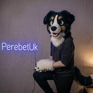 Könnte beinhalten: Eine Person trägt einen schwarz-weiß-braunen Hunde-Fursuit-Kopf mit passenden Pfoten und Schwanz. Der Fursuit hat einen freundlichen Ausdruck. Das Neon-Schild im Hintergrund lautet "PerebetUk".