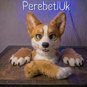 Könnte beinhalten: Ein Corgi-Fursuit-Kopf, Pfoten und Schwanz-Set. Der Kopf ist weiß und braun mit großen, ausdrucksstarken Augen und einem lächelnden Ausdruck. Die Pfoten und der Schwanz sind braun und weiß. Der Text "PerebetiUk" ist in Neonblau.