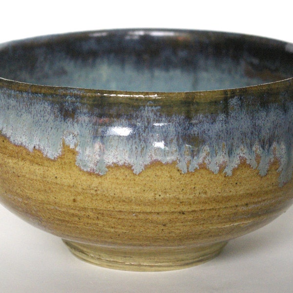 Woodgrain patterned bowl with icy blue details.