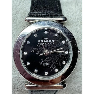 Ladies Skagen 107SSLB Silver Tone Quartz Watch New Battery