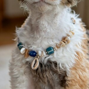 May include: A Devon Rex cat with curly brown, white, and orange fur wearing a beaded collar. The collar features small white shells, smooth blue and teal beads, and a single dangling cowrie shell charm centered at the front of the neck.