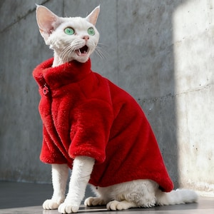 Op de afbeelding: Een witte Devon Rex kat draagt een felrode, pluche jas met een hoge kraag en een enkele knoopsluiting. De kat heeft heldergroene ogen en kijkt omhoog met zijn mond open. De achtergrond is een grijze betonnen muur.