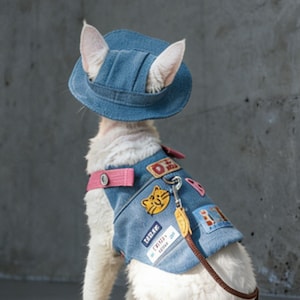 Puede incluir: Un gato blanco con un sombrero y chaleco vaquero con parches. El chaleco tiene una correa rosa y una correa marrón. Los parches incluyen una cara de gato, la palabra "TAKE" y otros diseños. El gato está sentado y de espaldas a la cámara.