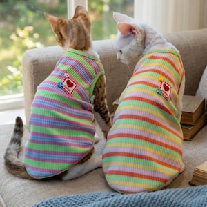 May include: Two cats wearing colorful striped shirts with heart patches, sitting on a beige couch. The shirts have green, pink, orange, and blue stripes. One cat is brown and white, the other is white.