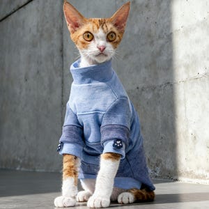 May include: A Devon Rex cat wearing a blue turtleneck sweater. The cat has ginger and white fur and is sitting on a grey surface in front of a concrete wall. The sweater has darker blue accents on the sleeves and small paw print details.