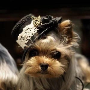 手作りペット魔女帽子、犬猫パンクハロウィン魔法使い写真小道具コスチューム、かわいいペット服アクセサリー