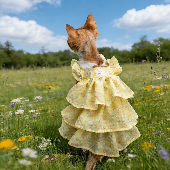 cat holiday dress Yellow Floral Dress, Ruffled Pet Clothing, Handmade Kitten Outfit, Cute Spring Summer Cat Sundress, Devon Rex Clothes, Cat Party Australian Black