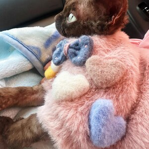 K&ouml;nnte beinhalten: Eine braune Katze tr&auml;gt einen rosa, flauschigen Pullover, der mit Filzherzen und einer blauen Schleife verziert ist. Die Katze blickt nach links, gr&uuml;ne Augen sind sichtbar. Der Pullover hat ein weiches, strukturiertes Aussehen.