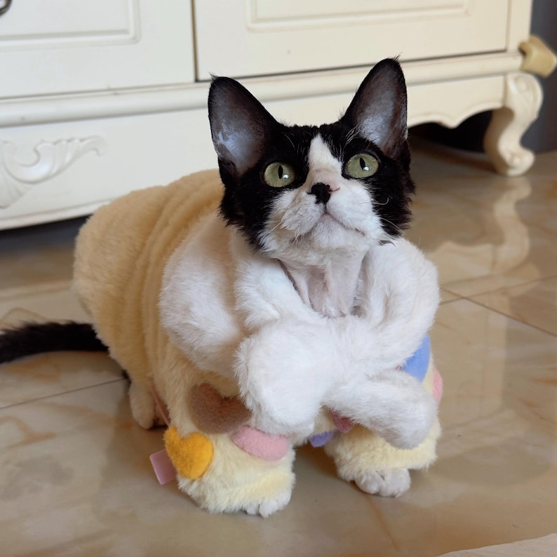 K&ouml;nnte beinhalten: Eine schwarz-wei&szlig;e Katze tr&auml;gt ein hellgelbes und wei&szlig;es Pl&uuml;schoutfit mit bunten herzf&ouml;rmigen Akzenten. Die Katze hat gr&uuml;ne Augen und blickt nach oben. Das Outfit bedeckt den K&ouml;rper und die Beine der Katze.