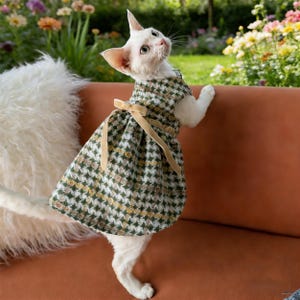 Puede incluir: Un gato blanco con un vestido estampado en verde, amarillo y blanco con un lazo beige. El gato está de pie sobre una superficie marrón con una almohada blanca y esponjosa detrás. El fondo presenta flores coloridas.