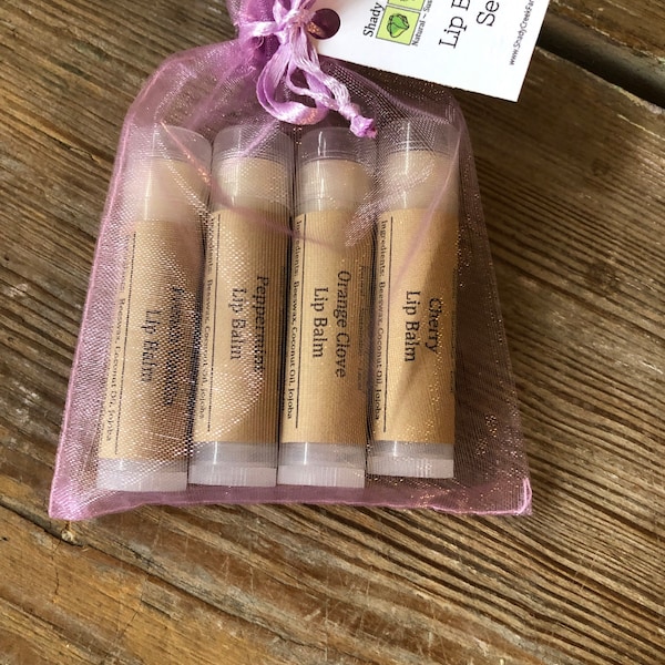 Lip Balm Gift set of 4 - cherry Lip Butter, Lavender Lip Gloss, Mint Chapstick - Mint Lip Balm - Orange Clove lip balm - French vanilla