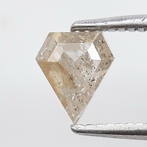 Può includere: Un diamante sfaccettato marrone chiaro tenuto da una pinzetta d'argento. Il diamante ha una forma geometrica unica con inclusioni visibili. La gemma è di colore marrone chiaro con un aspetto leggermente traslucido.