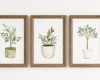 May include: Three framed watercolor prints featuring olive trees in pots. The artwork showcases olive branches with green leaves and olives. The frames are made of brown wood, and the pots are white and beige.