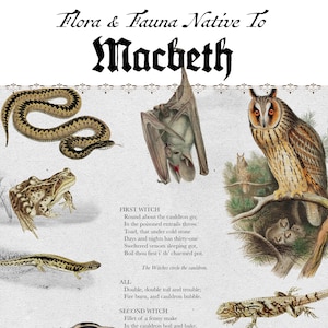 May include: An illustrated print titled "Flora & Fauna Native To Macbeth" features a snake, frog, bat, owl, and lizard. Text from the play is included. The artwork has a vintage, botanical illustration style with a decorative border.
