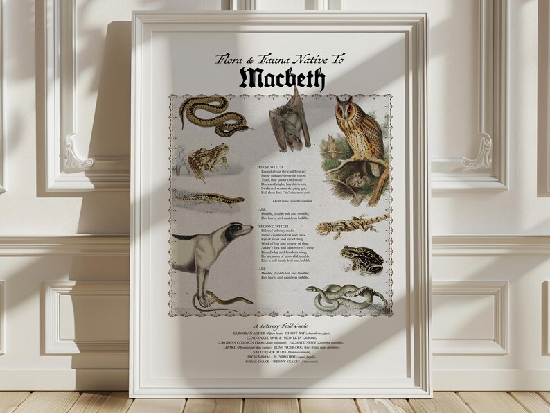 Macbeth Snake Macbeth Witches' Chant Art Print: Shakespeare Literary Collage - Etsy