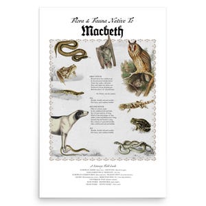 Puede incluir: Un póster titulado Flora & Fauna Native To Macbeth con ilustraciones de una serpiente, murciélago, búho, perro, lagarto y ranas. La impresión incluye extractos de la obra Macbeth y una lista de nombres de especies en texto negro sobre fondo blanco.