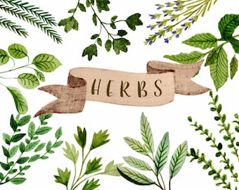 Herbs clipart, watercolor herbs clipart, watercolor botanicals clipart, gardening clipart, wedding invites, gardening decor