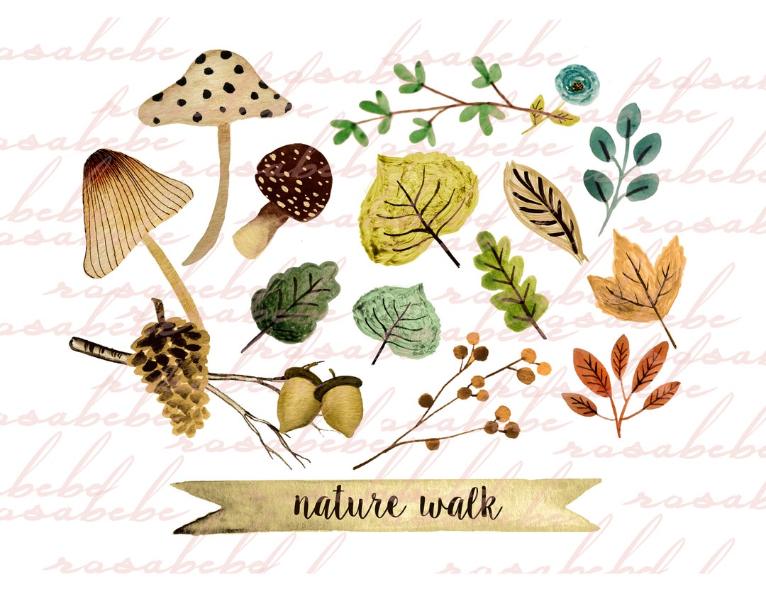 Fall Clipart, Watercolor Fall Clipart, Mushroom Clipart, Forest Clipart ...