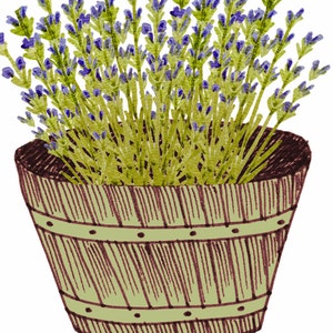 May include: A wooden pot with a green and brown striped pattern filled with a bouquet of lavender flowers. The flowers are purple and green.